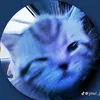 lumpfiii