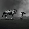 quran_muslum8