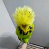 diegocrgac