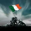 brendanmcl84