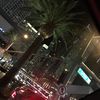 bryanalexander240