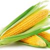 sweetcorn42