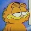 garfieldlover73