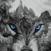 alidonalidon62