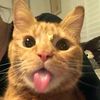 meeeengggggg7