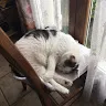 juliencocco94