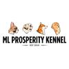 mlprosperitykennel2010_