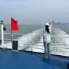 nhuy37416