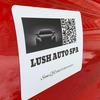 lushautospa