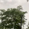 bbssrrbbb__