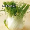 le_fenouil_du85