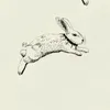 _leni193