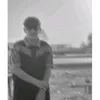 m_zp08