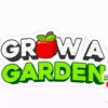 imrane__gimng