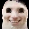 p_qqpp