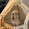 ritzthebun