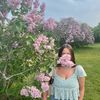 dollopofdaisies