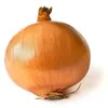 definitely_a_onion