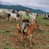 fernandosantos4444