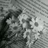rahayushalbilah_22