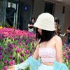chira_aomp