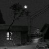 hhis196045748