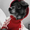 la_linda_dog