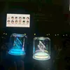 userr2tmokd9k0