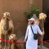 sadeeq40