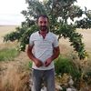 temeltemel42