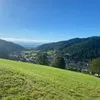 swormick