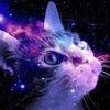 ruixue_galaxycat2006