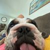 crazy_cara11