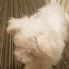 tylerbernard25