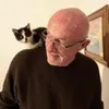 black_cat_vibes