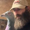pigeondude336