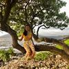 janine_wong