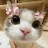 userr._nn