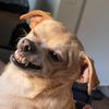 jakethagoon032