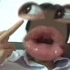 mpdagju.z