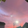 purple_z21