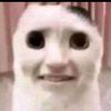 meow0wm