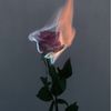 m.abdulk0