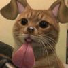 caachupa_