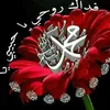 ha30ssan