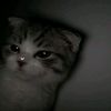 effemerall_
