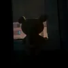magolotovcocktail