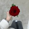 meryemhac3838