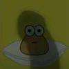 copigemes