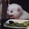 whyisntmyusernamevalid